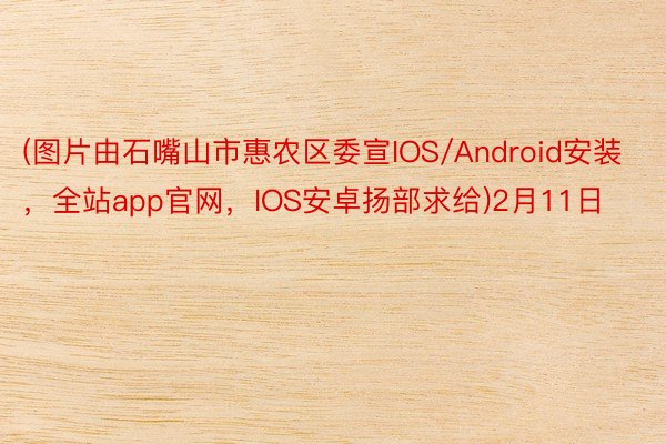 (图片由石嘴山市惠农区委宣IOS/Android安装，全站app官网，IOS安卓扬部求给)2月11日