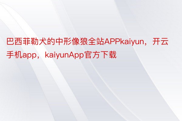 巴西菲勒犬的中形像狼全站APPkaiyun，开云手机app，kaiyunApp官方下载
